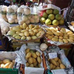 Mangos und Kokosnüsse