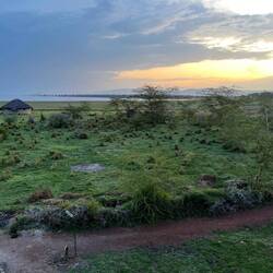 Wenn man ganz genau schaut, dann sind vor dem See Zebras und Wasserböcke zu sehen.