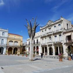 Old Square.