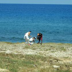 Santeria followers sacrificing a chicken on the beach.