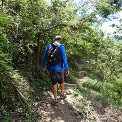 Parque Cubano National Park.