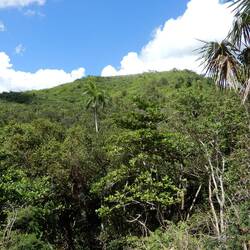 Parque Cubano National Park.