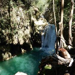 Parque Cubano National Park.