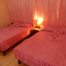 The pepto bismol interior at our guesthouse.