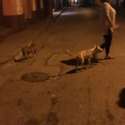 Harvey (left) and Ashley (right) at Parque Central.