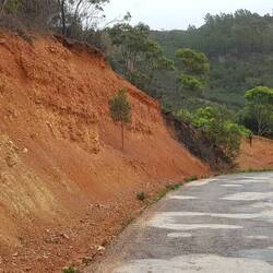 Auf dem Weg zum ersten Strand