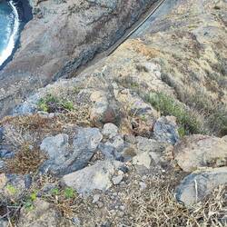 Sehr steiler,schwieriger Abschnitt