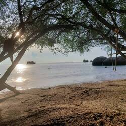 Freedom Beach 🩳👙🌞