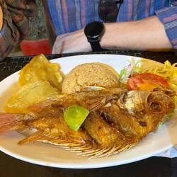 Das typische Essen hier wahlweise mit Fisch, Huhn oder Schwein dazu kokosreis