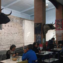 Toros in der Markthalle