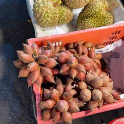 Snake fruit