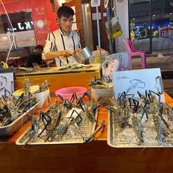 Pretty large shrimps!