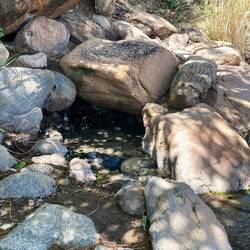Kochendes Wasser aus einer der vielen Quellen.