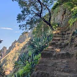 Immer an der Steilwand Stufe für Stufe nach oben