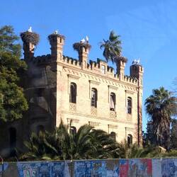 Haus mit Storchennestern