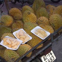 Wieder einmal die liebe Durian