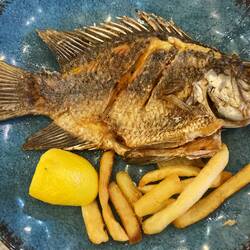 St. Peter's Fish - a type of tilapia
