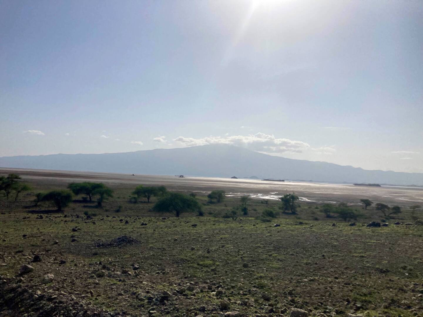 Entlag des Natron Lakes geht nach Norden zur Nordserengeti.