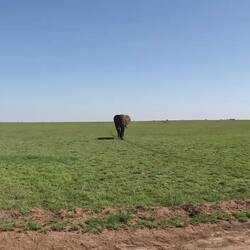 Schaut bis zum schluss 🤭