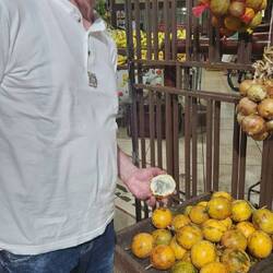 Granadilla - erfrischend, süß und sehr gesund