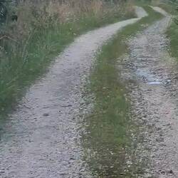 die Anfahrt 45 Min mit Verfahren für 4,5 km