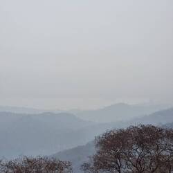 Ich zeh abzolut nix vom Tschloss