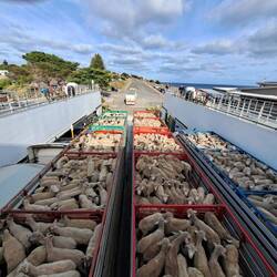 näbe PWs hei au ganz angeri Sache Platz gha uf der Fähri..