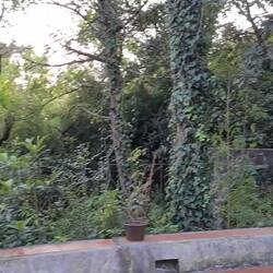 Hier ist jetzt meine Base