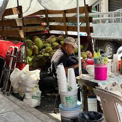 Coconuts anyone?