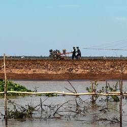 L'agriculture old school