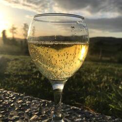 Resting with a Muscato at Tallegalla airbnb