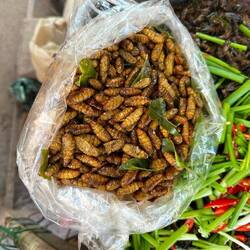 Des vers à soie grillés