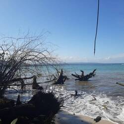 Cahuita Nationalpark