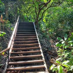 Der Weg durch den Nationalpark ist super gemacht. Rechts sieht man noch die Leiter vom alten Weg 😅