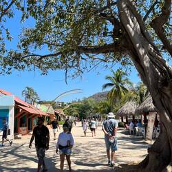 The waterfront area