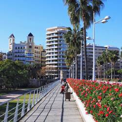 Pont de les Flors über dem Jardín del Turia