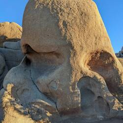 Skull Rock. The destination of many an Instagrammer.