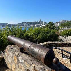 The fort