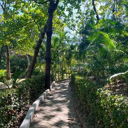A walk in the park...