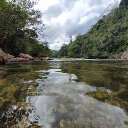 Hier konnten wir auch ein paar Männern bei ihrer nicht ganz so erfolgreichen Harpunenjagd beobachten