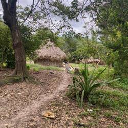 Der Eingang des Dorfes, die Hütten bestehen einzig aus Lehm, Bambus und Palmenblättern