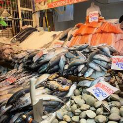 Frische Fische fischt Fischers Fritz.....