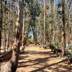 Weg von der Toreinfahrt zum Haus