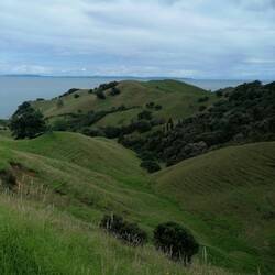 📍Kereta, Neuseeland 🇳🇿