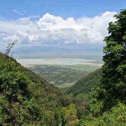Ngorongoro Krater