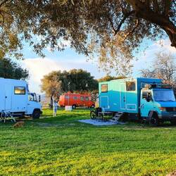 In bester Gesellschaft am letzten Stellplatz