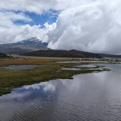View from Laguna de Limpiopungo to Cotopaxi