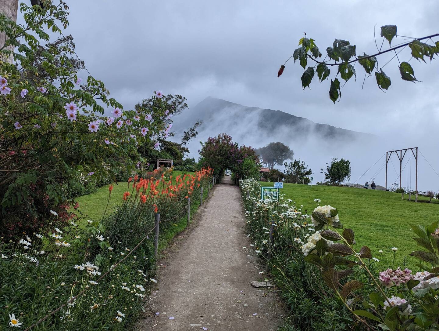 Beautiful garden at the Casas Del Árbol
