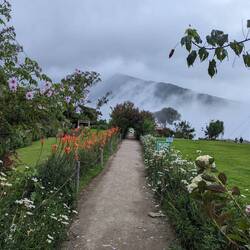 Beautiful garden at the Casas Del Árbol