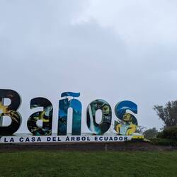 "Viewpoint" at the Treehouse